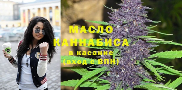 мдпв Лагань