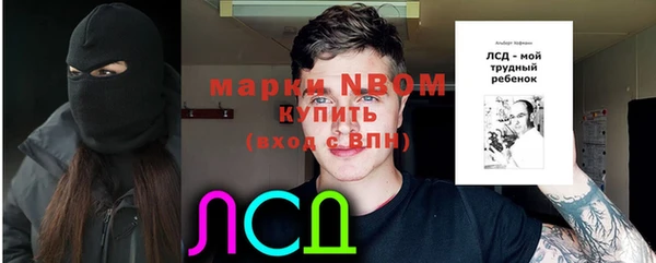 стафф Лабытнанги