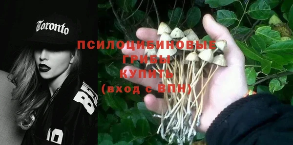 бутират Струнино