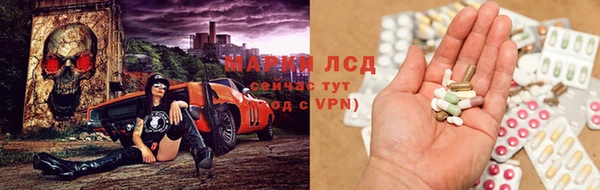стафф Лабытнанги